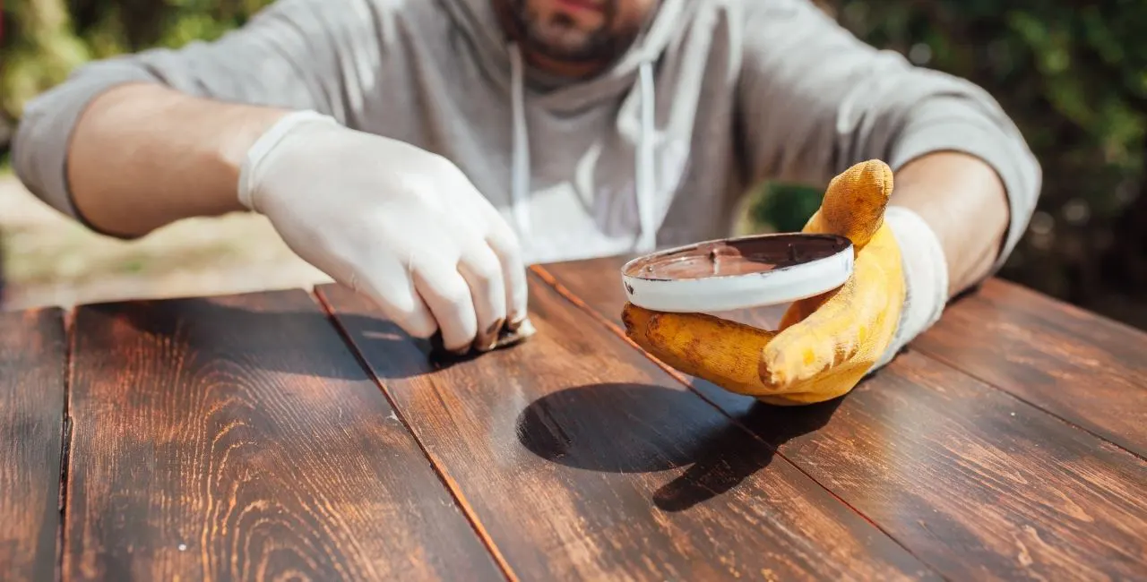 barnizar la madera barnizar la madera y protegerla con productos adecuados