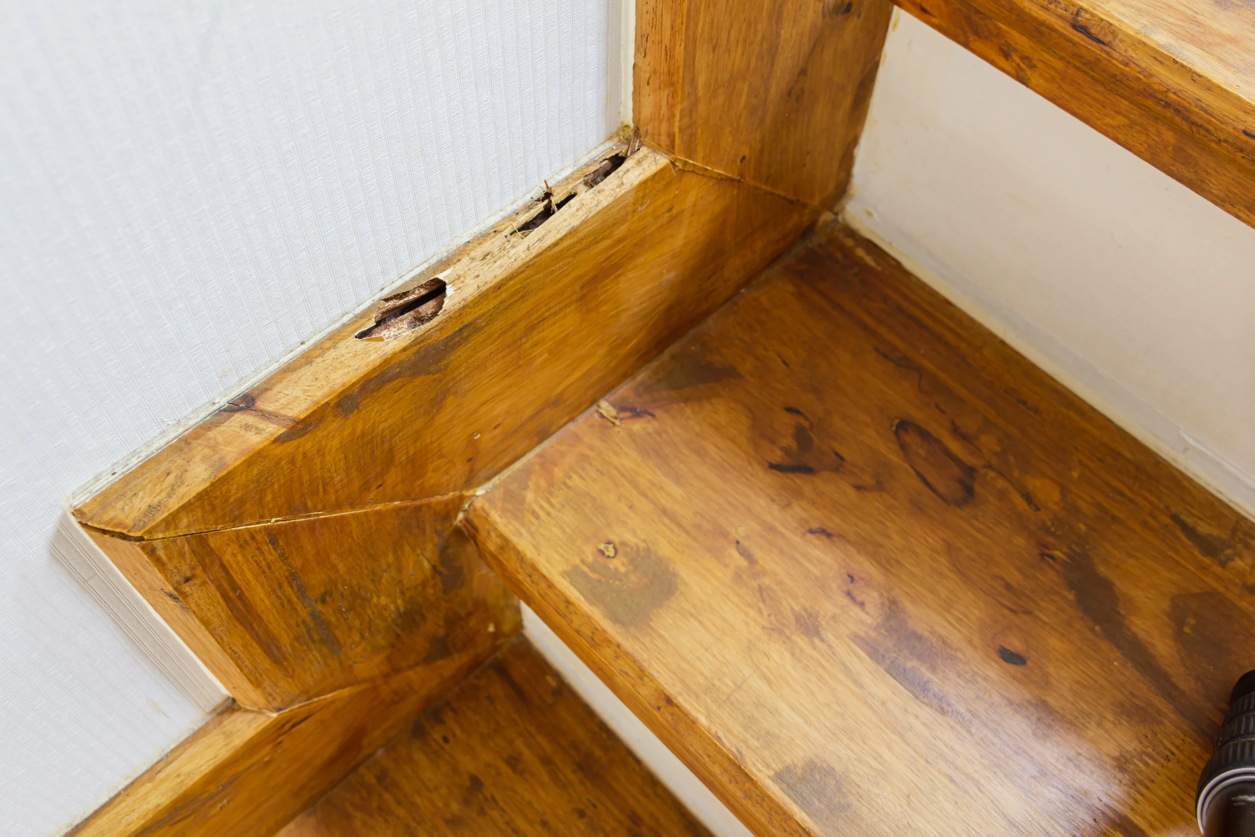 Cómo evitar que una escalera de madera cruja en interiores